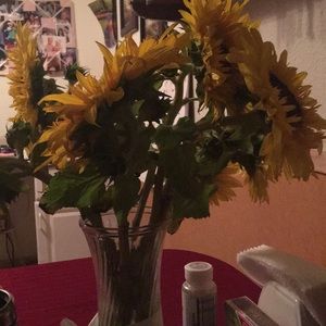 Meet your Posher, Patricia